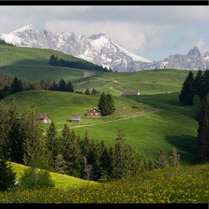 Meet your Posher, Adi